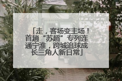 走，客场变主场！首趟“苏超”专列连通宁淮，跨城追球成长三角人新日常