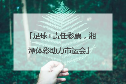 足球+责任彩票，湘潭体彩助力市运会