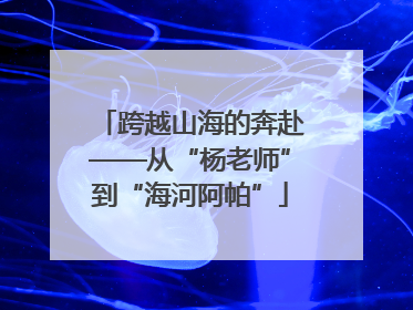 跨越山海的奔赴——从“杨老师”到“海河阿帕”