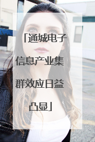通城电子信息产业集群效应日益凸显