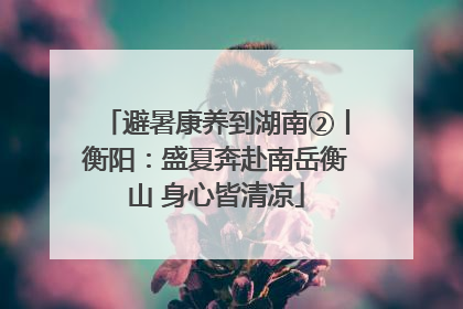 避暑康养到湖南②丨衡阳：盛夏奔赴南岳衡山 身心皆清凉