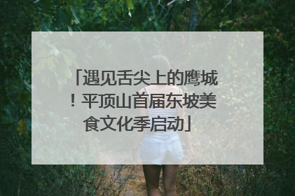 遇见舌尖上的鹰城！平顶山首届东坡美食文化季启动