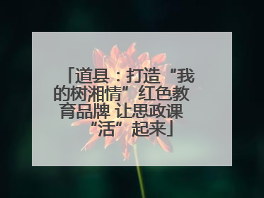 道县：打造“我的树湘情”红色教育品牌 让思政课“活”起来