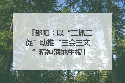 邵阳：以“三抓三促”助推“三会三文”精神落地生根