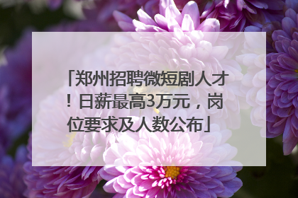 郑州招聘微短剧人才！日薪最高3万元，岗位要求及人数公布