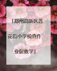 郑州高新区莲花街小学检查作业促教学
