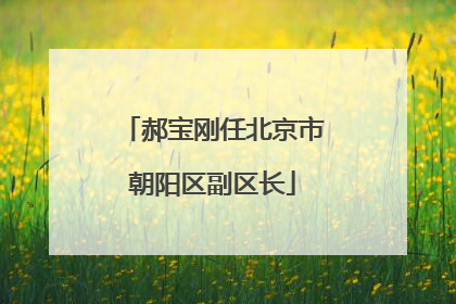 郝宝刚任北京市朝阳区副区长