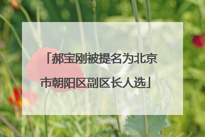 郝宝刚被提名为北京市朝阳区副区长人选