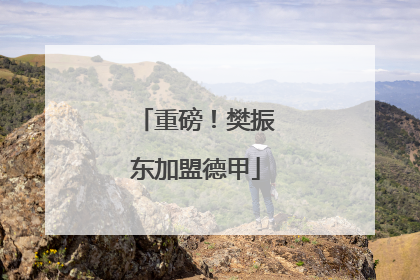 重磅！樊振东加盟德甲