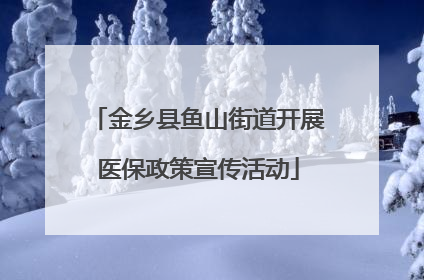 金乡县鱼山街道开展医保政策宣传活动
