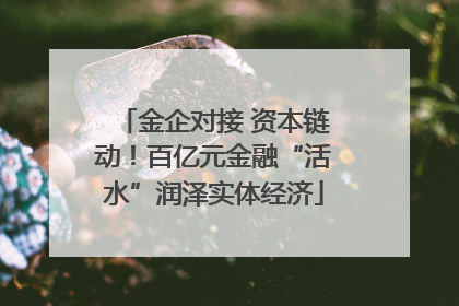 金企对接 资本链动！百亿元金融“活水”润泽实体经济