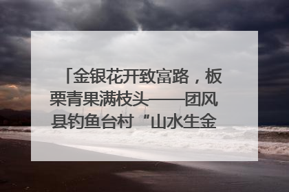 金银花开致富路，板栗青果满枝头——团风县钓鱼台村“山水生金”谱写共富新篇章