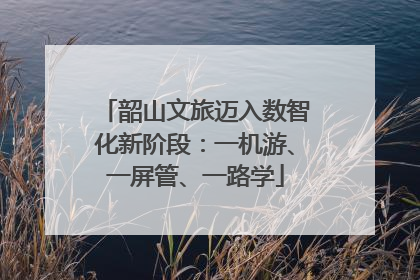 韶山文旅迈入数智化新阶段：一机游、一屏管、一路学