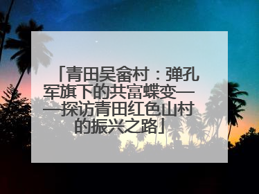 青田吴畲村：弹孔军旗下的共富蝶变——探访青田红色山村的振兴之路