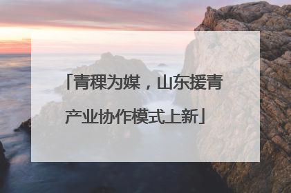 青稞为媒，山东援青产业协作模式上新
