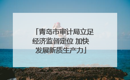 青岛市审计局立足经济监督定位 加快发展新质生产力