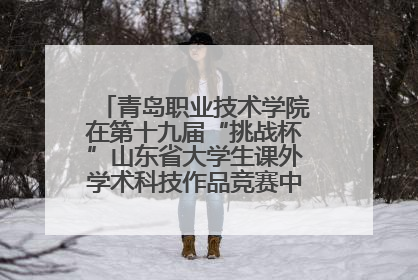 青岛职业技术学院在第十九届“挑战杯”山东省大学生课外学术科技作品竞赛中斩获佳绩