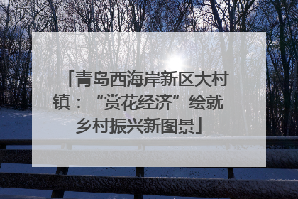 青岛西海岸新区大村镇：“赏花经济”绘就乡村振兴新图景