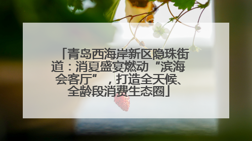 青岛西海岸新区隐珠街道：消夏盛宴燃动“滨海会客厅”，打造全天候、全龄段消费生态圈