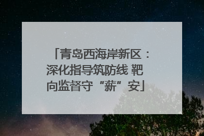 青岛西海岸新区：深化指导筑防线 靶向监督守“薪”安
