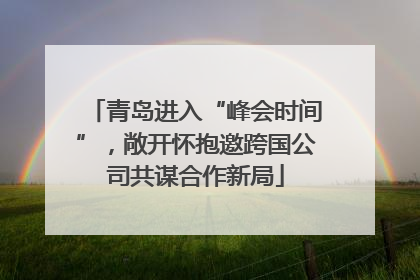 青岛进入“峰会时间”，敞开怀抱邀跨国公司共谋合作新局