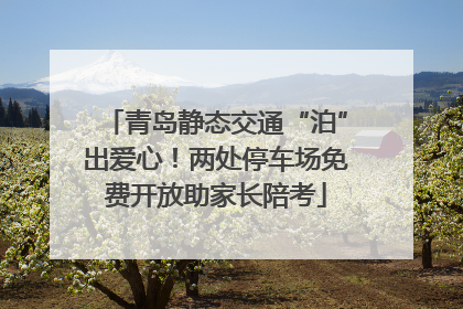 青岛静态交通“泊”出爱心！两处停车场免费开放助家长陪考