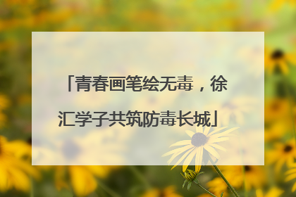 青春画笔绘无毒，徐汇学子共筑防毒长城