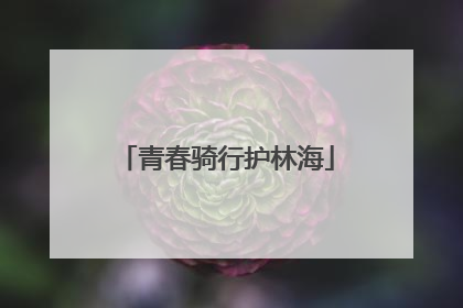 青春骑行护林海