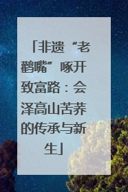非遗“老鹳嘴”啄开致富路：会泽高山苦荞的传承与新生