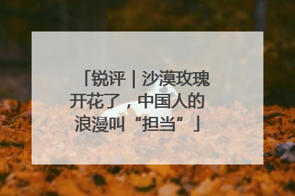 锐评｜沙漠玫瑰开花了，中国人的浪漫叫“担当”