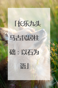 长乐九头马古民居柱础：以石为语