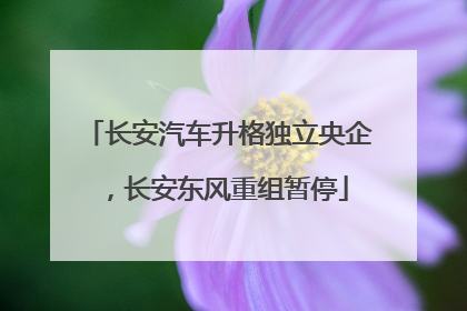 长安汽车升格独立央企，长安东风重组暂停