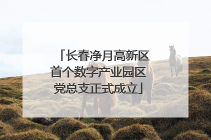 长春净月高新区首个数字产业园区党总支正式成立
