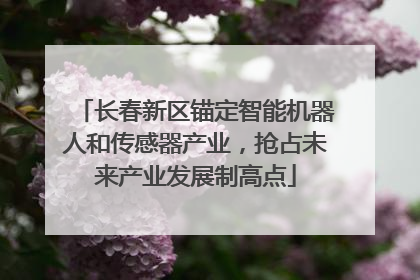 长春新区锚定智能机器人和传感器产业，抢占未来产业发展制高点