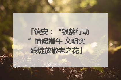 镇安：“银龄行动”情暖端午 文明实践绽放敬老之花