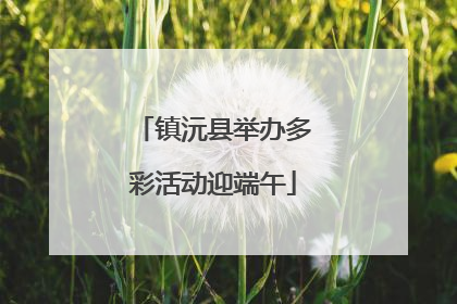 镇沅县举办多彩活动迎端午