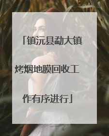 镇沅县勐大镇烤烟地膜回收工作有序进行