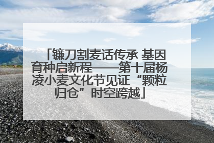 镰刀割麦话传承 基因育种启新程——第十届杨凌小麦文化节见证“颗粒归仓”时空跨越