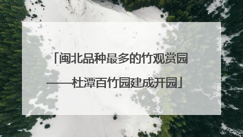 闽北品种最多的竹观赏园——杜潭百竹园建成开园