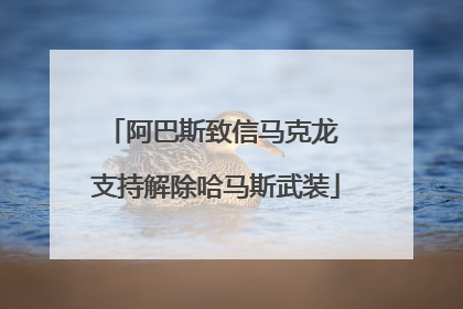 阿巴斯致信马克龙 支持解除哈马斯武装