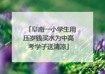 阜南一小学生用压岁钱买水为中高考学子送清凉