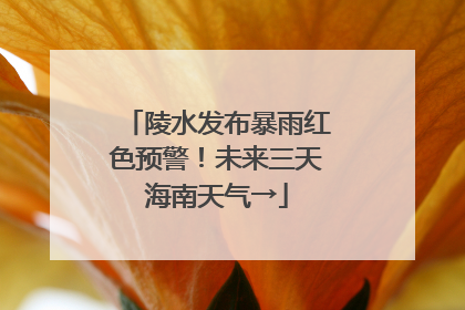 陵水发布暴雨红色预警！未来三天海南天气→