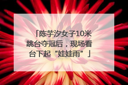 陈芋汐女子10米跳台夺冠后，现场看台下起“娃娃雨”