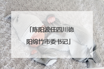 陈阳波任四川德阳绵竹市委书记