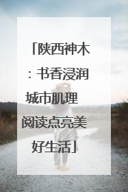陕西神木：书香浸润城市肌理 阅读点亮美好生活