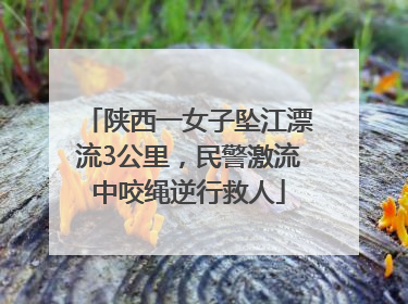 陕西一女子坠江漂流3公里，民警激流中咬绳逆行救人