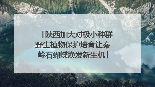 陕西加大对极小种群野生植物保护培育让秦岭石蝴蝶焕发新生机
