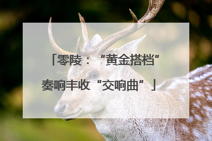 零陵：“黄金搭档”奏响丰收“交响曲”