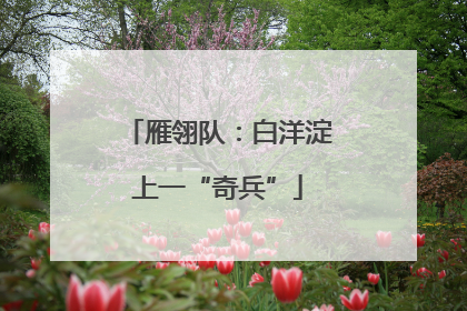 雁翎队：白洋淀上一“奇兵”