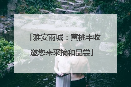 雅安雨城：黄桃丰收 邀您来采摘和品尝